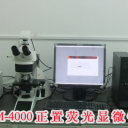 徕卡生物显微镜
